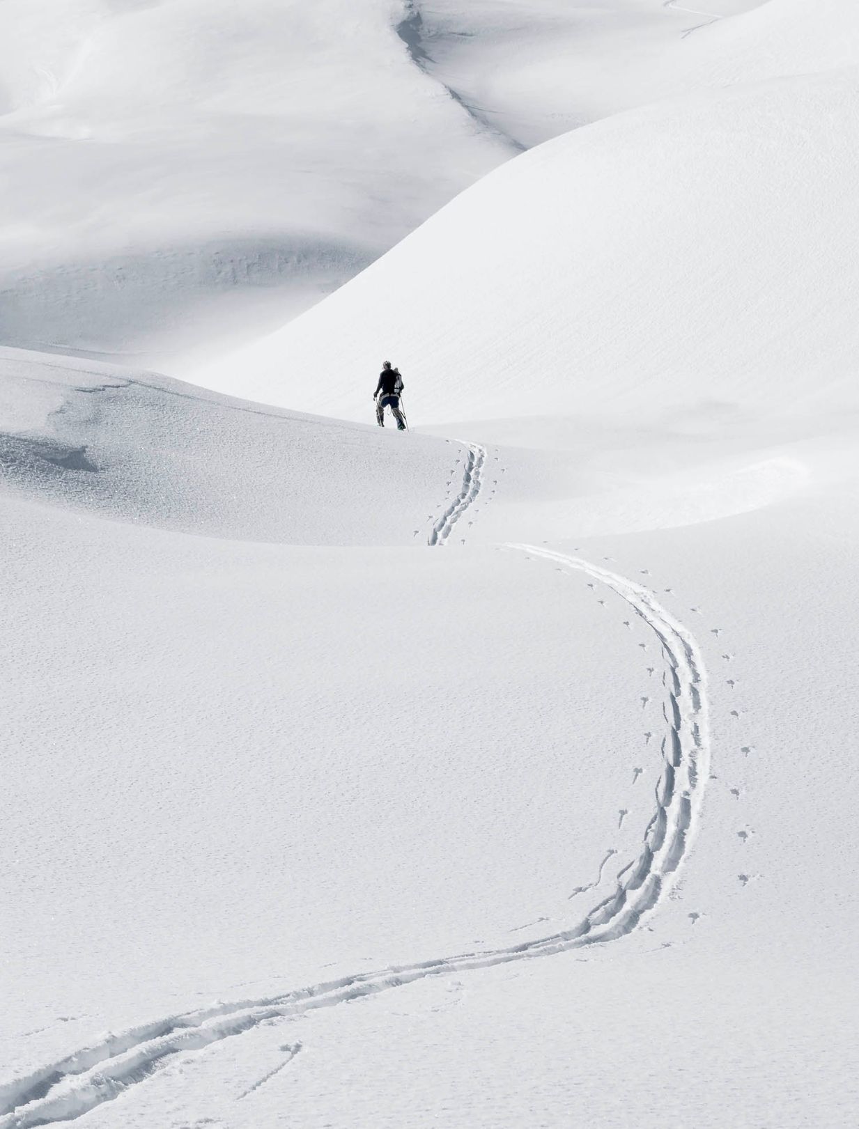 Lone skier in great wide open.jpg