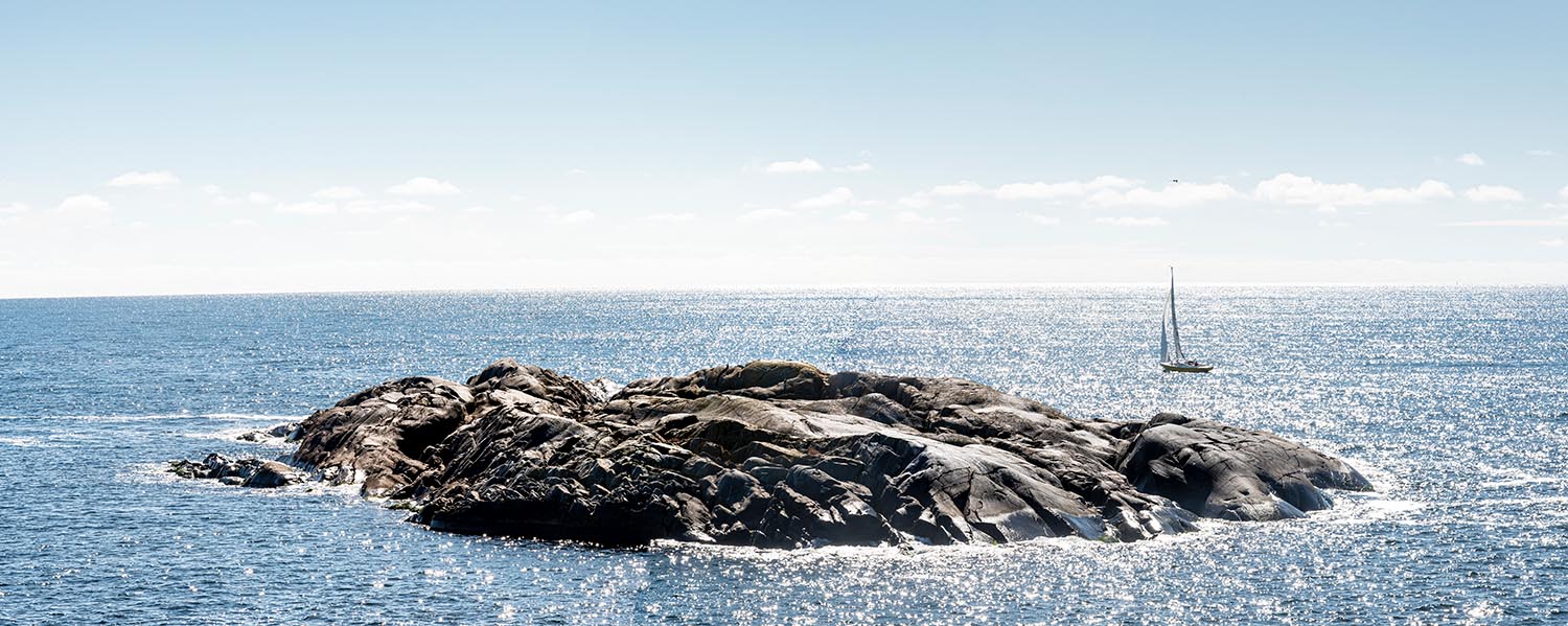 Stångskär i solglitter.jpg