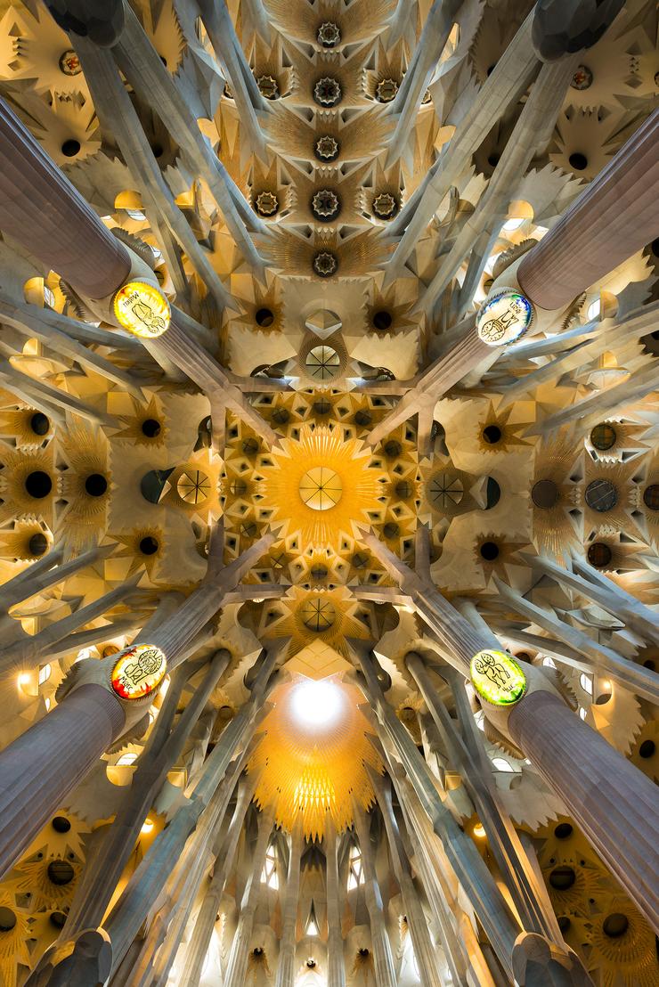 Förhandsvisning av bild