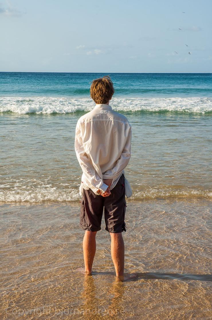 Förhandsvisning av bild