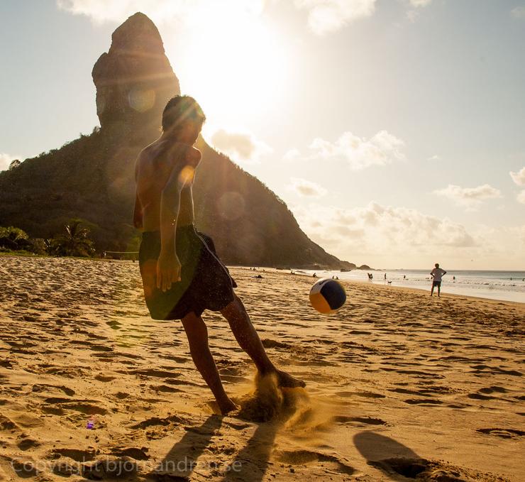 Förhandsvisning av bild