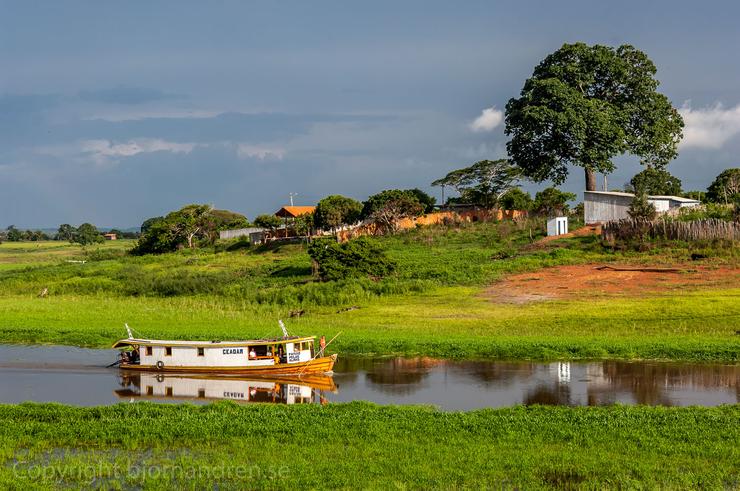 Förhandsvisning av bild